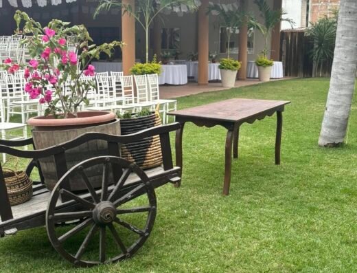 Hacienda del Palmar