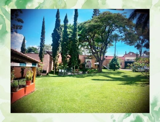 Los Cipreses Terraza Jardín