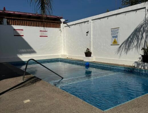 Jardin Palmita Fiesta