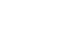 Fiestly Logo White