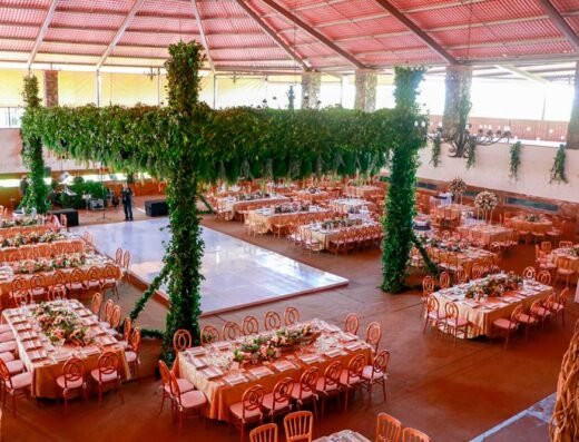 Boda x