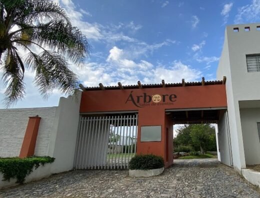 Árbore