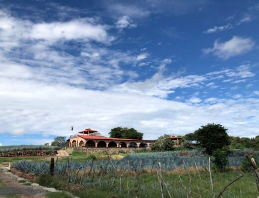 Hacienda El Pedregal Agavero