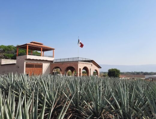Hacienda El Pedregal Agavero