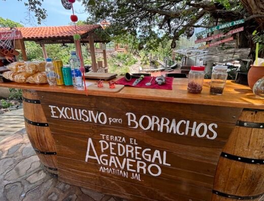 Hacienda El Pedregal Agavero