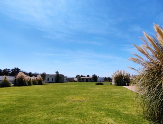 Finca Saia